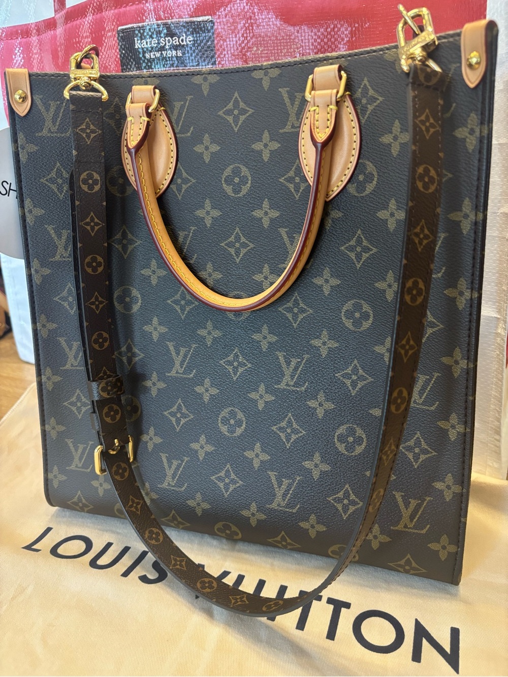 Louis Vuitton Monogram Canvas Sac Plat PM Tote with Vachetta Trim